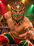Lucha Estrella Ski Mask